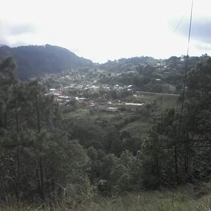 Meet your Posher, Aida